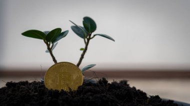 Bitcoin dünyada, dijital para, botcoin madencilik konsepti