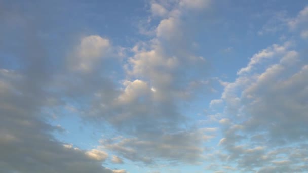 Пушистые Белые Облака Время Прохождения Кучевых Облаков Лето Голубое Небо — стоковое видео
