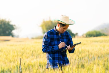 Becerikli bir Asyalı, arpa tarlalarını izlemek için teknolojiyle donatılmış dijital cep telefonları ve tabletleri kullanıyor. Tarım üretimi için internet uygulamaları kullanıyor..