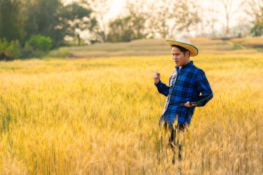 Becerikli bir Asyalı, arpa tarlalarını izlemek için teknolojiyle donatılmış dijital cep telefonları ve tabletleri kullanıyor. Tarım üretimi için internet uygulamaları kullanıyor..