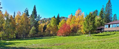 Ural dağlarının güzel manzarası. Taganay tepesi altın gibidir. Rusya.