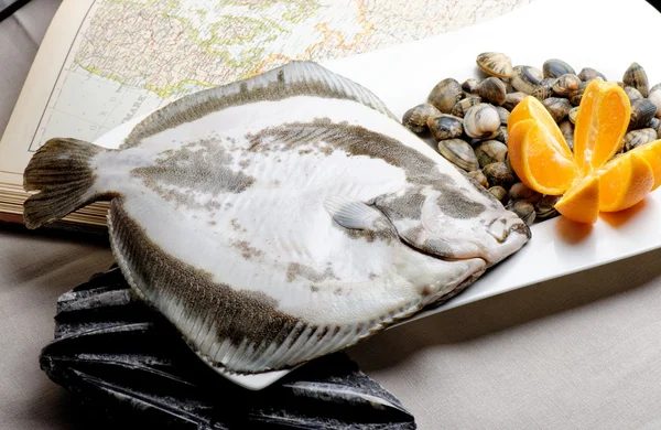 Turbot fish and clams — Stock Photo, Image