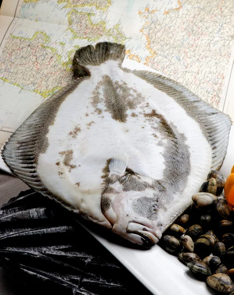 Turbot fish and clams — Stock Photo, Image