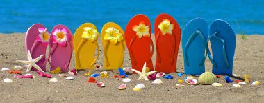 Terlikler, deniz kabuğu ve kumlu sahilde tropik çiçekli denizyıldızı.