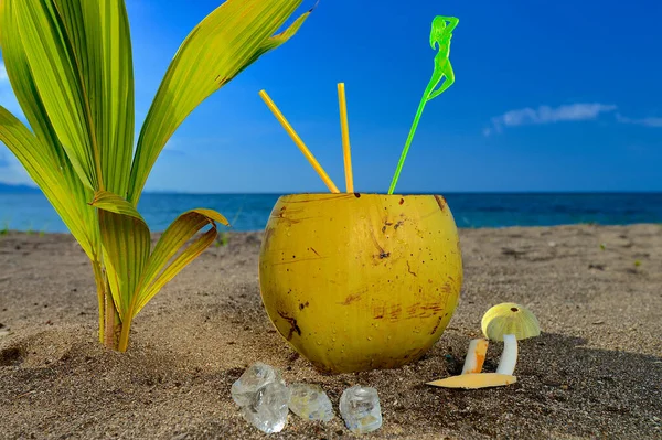 Καλοκαίρι Coconut Κοκτέιλ Στην Τροπική Παραλία — Φωτογραφία Αρχείου