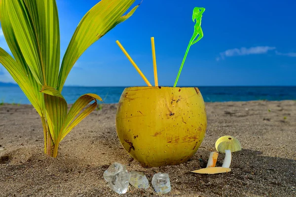 Cocktail Été Noix Coco Sur Plage Tropicale — Photo