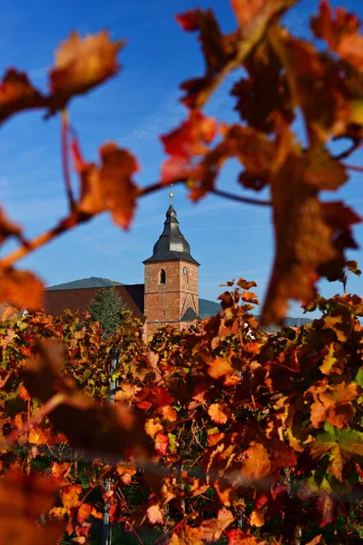 Vinejards Church Pfalz Germany — Stock Photo, Image