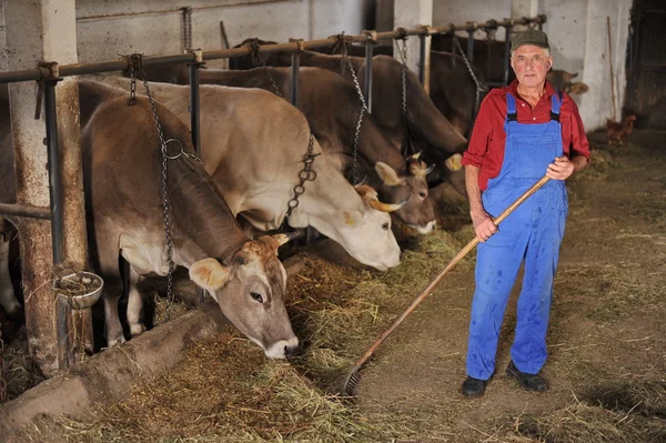 Rolnik, praca na farmie ekologicznej — Zdjęcie stockowe