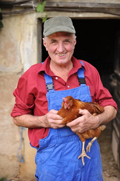 Rolnik gospodarstwa kurczaka — Zdjęcie stockowe