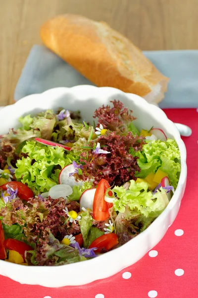 Salada fresca com tomates — Fotografia de Stock