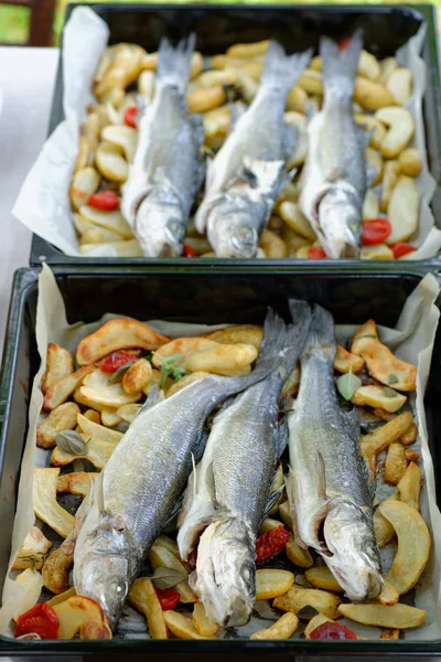 Okoń morski z warzywami na grill — Zdjęcie stockowe