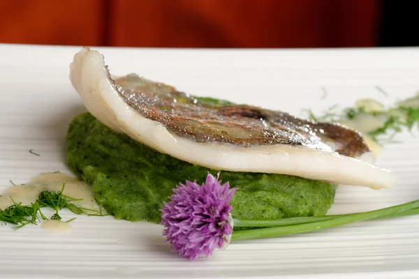 John Dory Fish fillet on spinach puree — Stok Foto