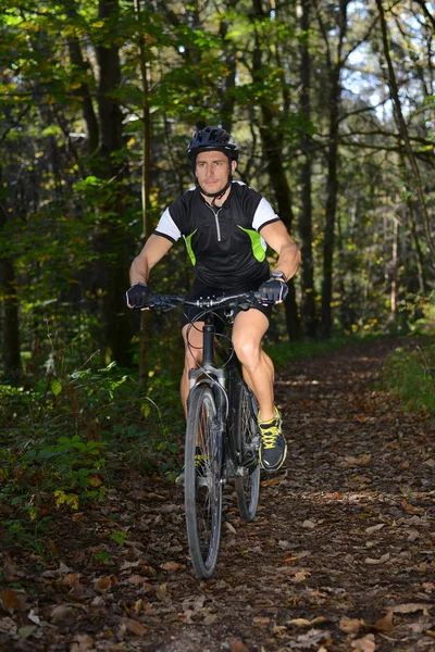 L'uomo in bicicletta nella foresta — Foto Stock