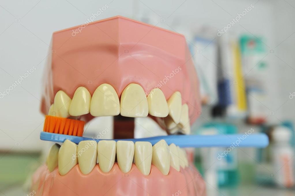 Brush your teeth Stock Photo by ©vision.si 57240583