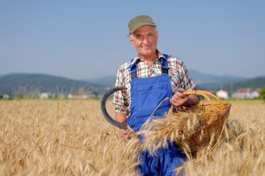 Bir buğday tarlasında duran çiftçi