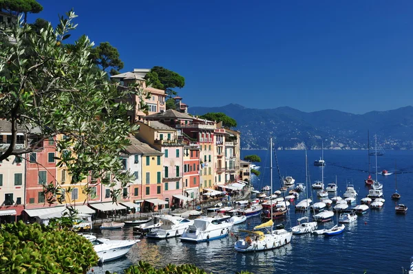 Portofino, beroemde kleine stad — Stockfoto