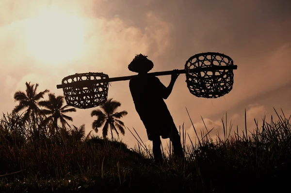 Farmer with wooden tool — Stock Photo, Image