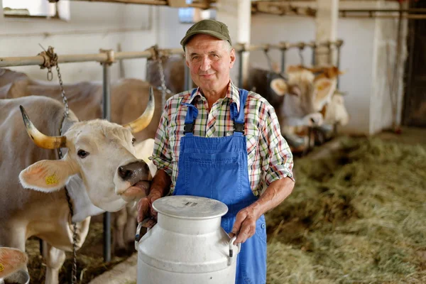 Agricoltore con vacche da latte — Foto Stock