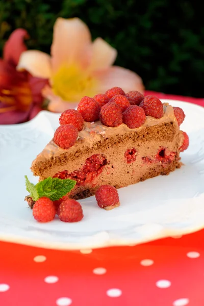 Chocolate mousse cake — Stock Photo, Image