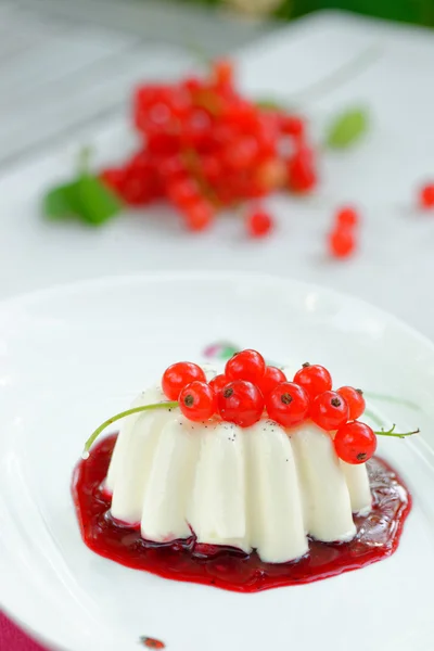 Postre panna cotta — Foto de Stock