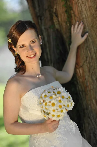 Beautiful bride posing — Stock Photo, Image