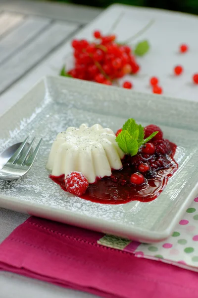 Panna Cotta Dessert — Stockfoto