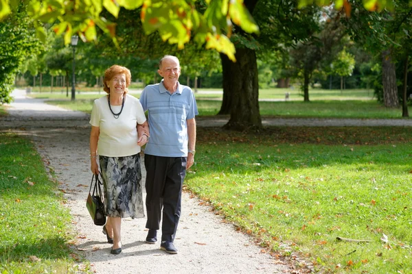 kıdemli mutlu çift