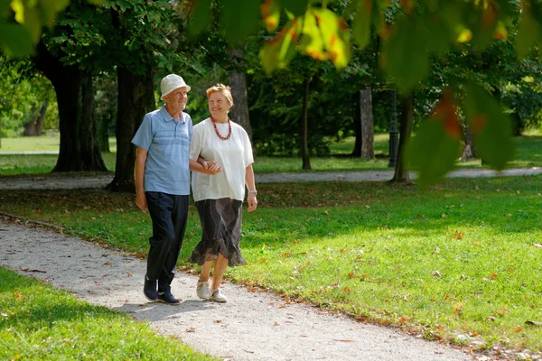 Senior happy couple — Stock Photo, Image