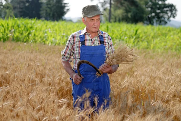 Agricultor de pie en un campo de trigo — Foto de Stock