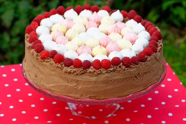 Raspberry ice-cream cake — Stock Photo, Image