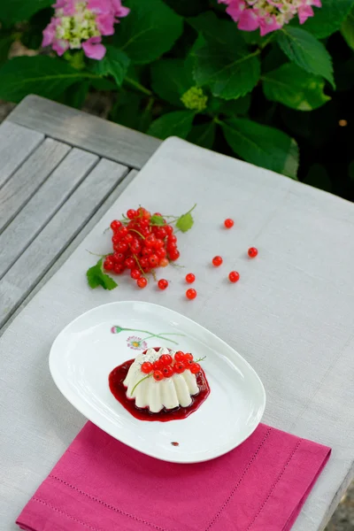 Panna cotta tatlı — Stok fotoğraf