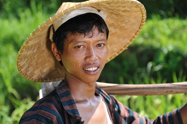 Traditional rice farmer — Stock Photo, Image