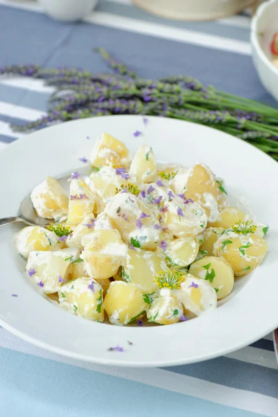 Potatissallad majonnäsdressing — Stockfoto