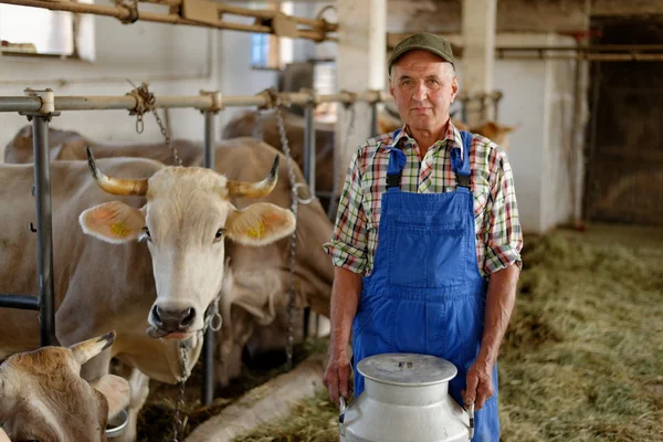 Agricultor com vacas leiteiras — Fotografia de Stock