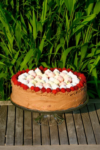 Raspberry ice-cream cake — Stock Photo, Image