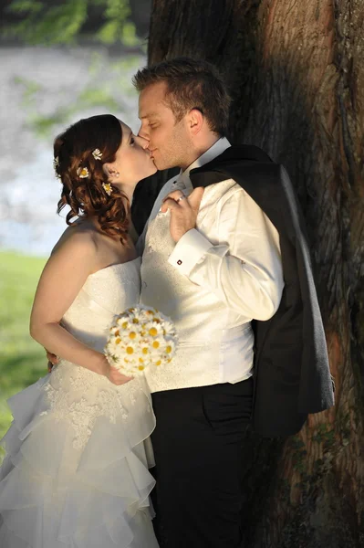 Joven pareja de boda — Foto de Stock