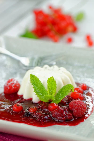 Panna cotta dessert — Stock Photo, Image