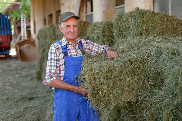 Organikus mezőgazdasági termelő verem a bálázzák — Stock Fotó
