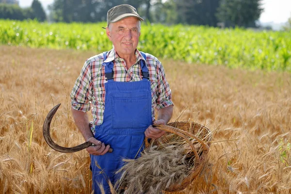 Фермер стоїть на пшеничному полі — стокове фото