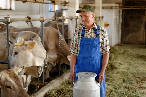 Agricultor com vacas leiteiras — Fotografia de Stock