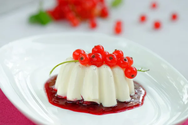 Dessert panna cotta — Photo