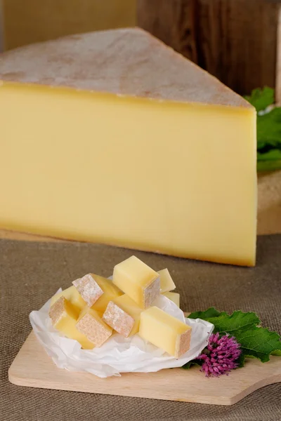 Del av ost rullar — Stockfoto