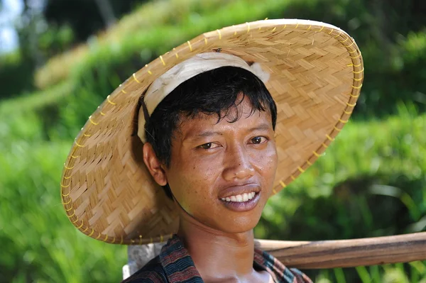 Agricultor de arroz tradicional — Fotografia de Stock