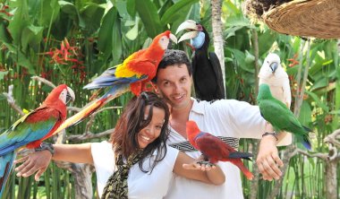 Young couple with tropical birds clipart