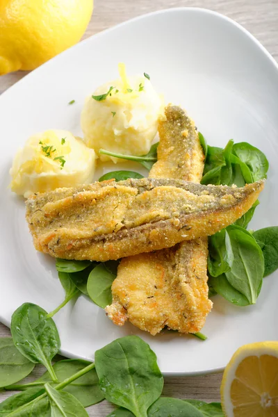 Fillet of sea bream with mashed potatoes — Stock Photo, Image