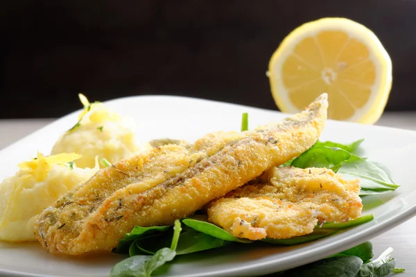 Fillet of sea bream with mashed potatoes — Stock Photo, Image