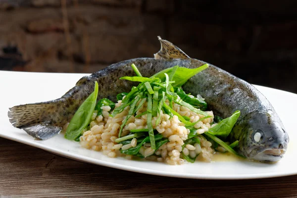 Forel gekookt met gerst — Stockfoto