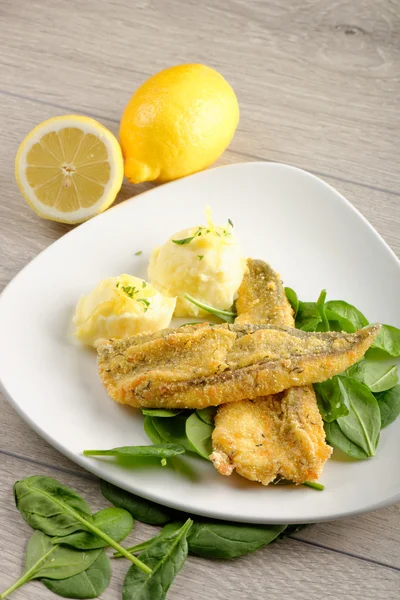 Fillet of sea bream with mashed potatoes — Stock Photo, Image