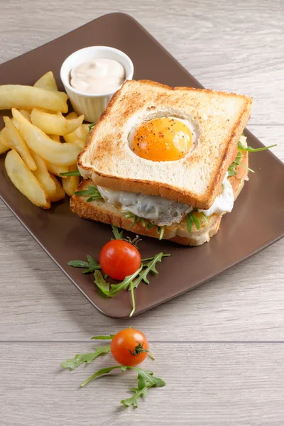 프리미엄 클럽 샌드위치와 감자 튀김 — 스톡 사진