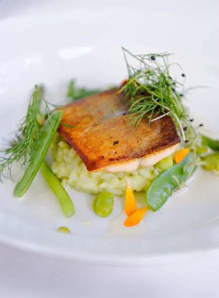 Cenas finas, filete de pescado de trucha empanado en hierbas —  Fotos de Stock